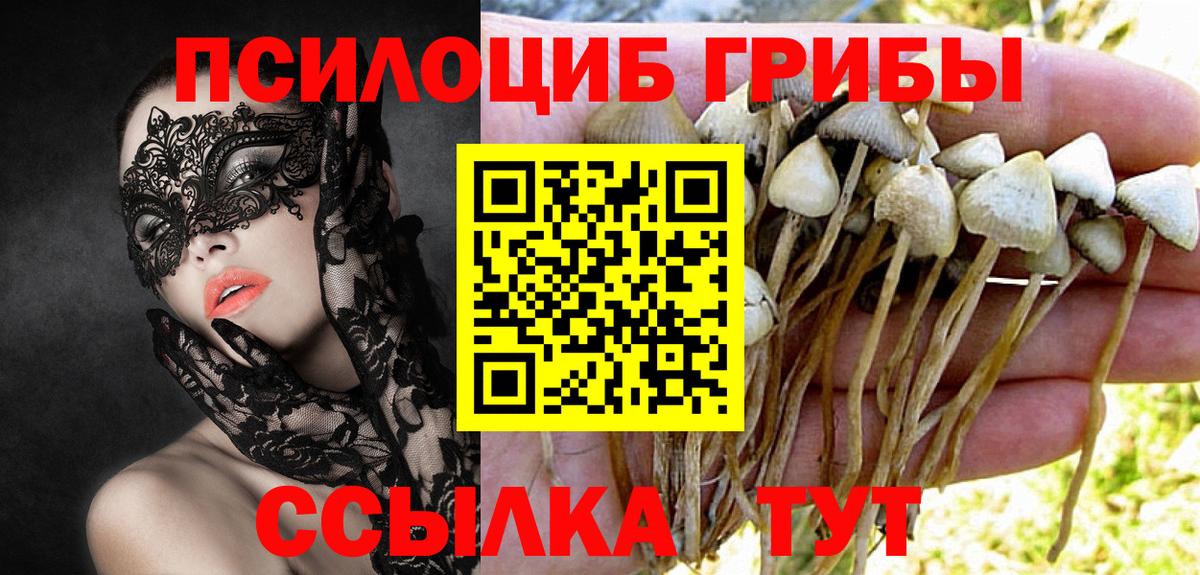 Медногорск  Псилоцибиновые грибы Psilocybe  Галлюциногенные грибы Cubensis  Вход с VPN 